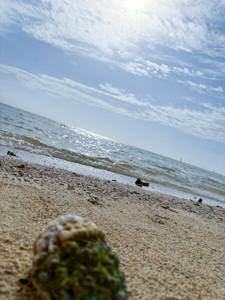 LINE_ALBUM_A団2日目_251112_6-2.jpg