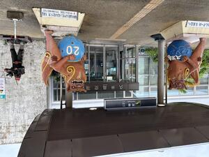 IMG_1895.jpeg