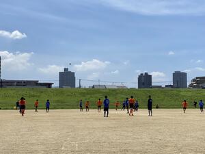 IMG_1243.jpg