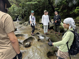 136.jpeg