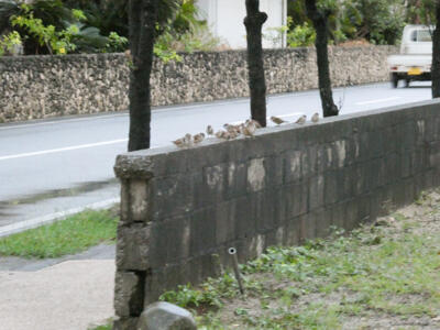 P1010913.jpg