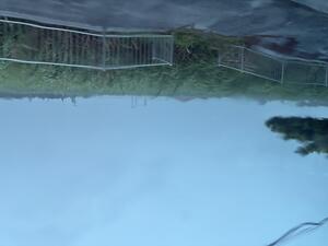 IMG_1767.jpeg