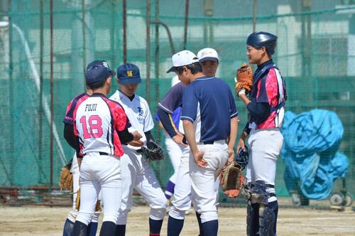 image_6483441.JPG