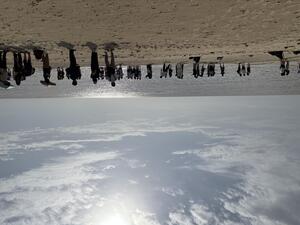 IMG_1792.jpeg