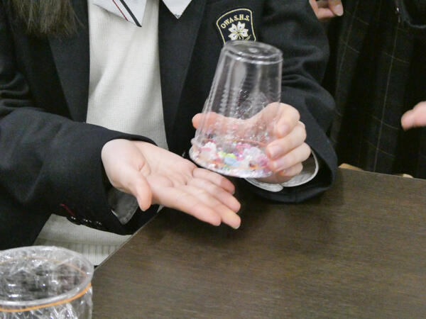 P1034335-2.jpg