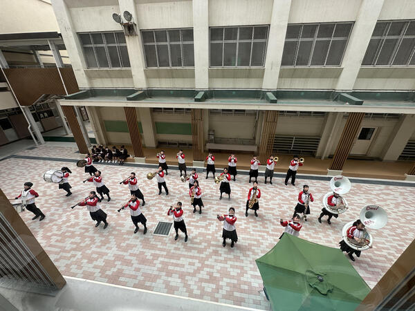 IMG_4675.jpeg