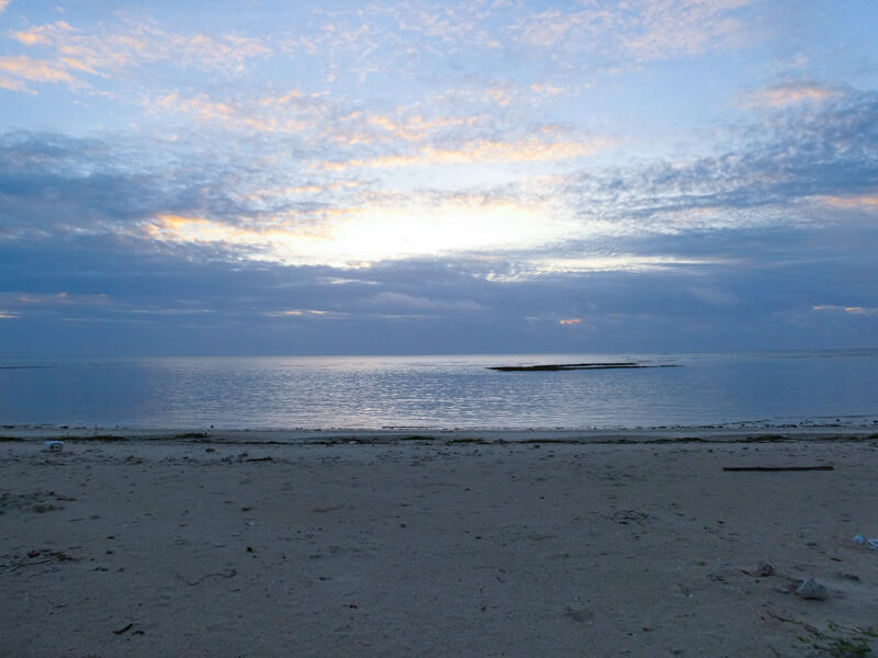 P1011087-2.jpg