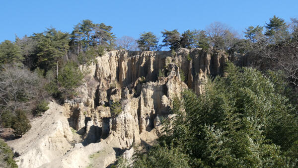 P1022937-2.jpg