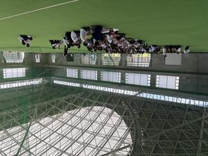 IMG_1820.jpeg