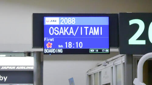 P1011369.jpg