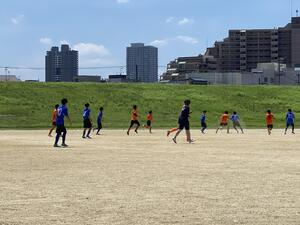 IMG_1244.jpg