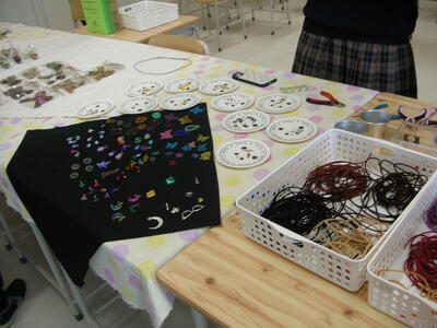 DSCN1033 (1).JPG
