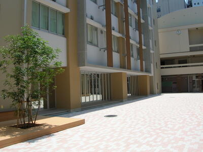 DSCN9970.JPG
