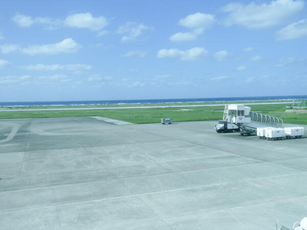 P1011294.jpg