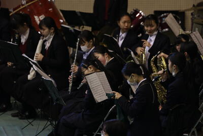 _MG_5965.JPG