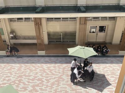 中庭上から俯瞰.JPG