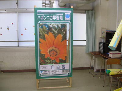 DSCN0881 (1).JPG