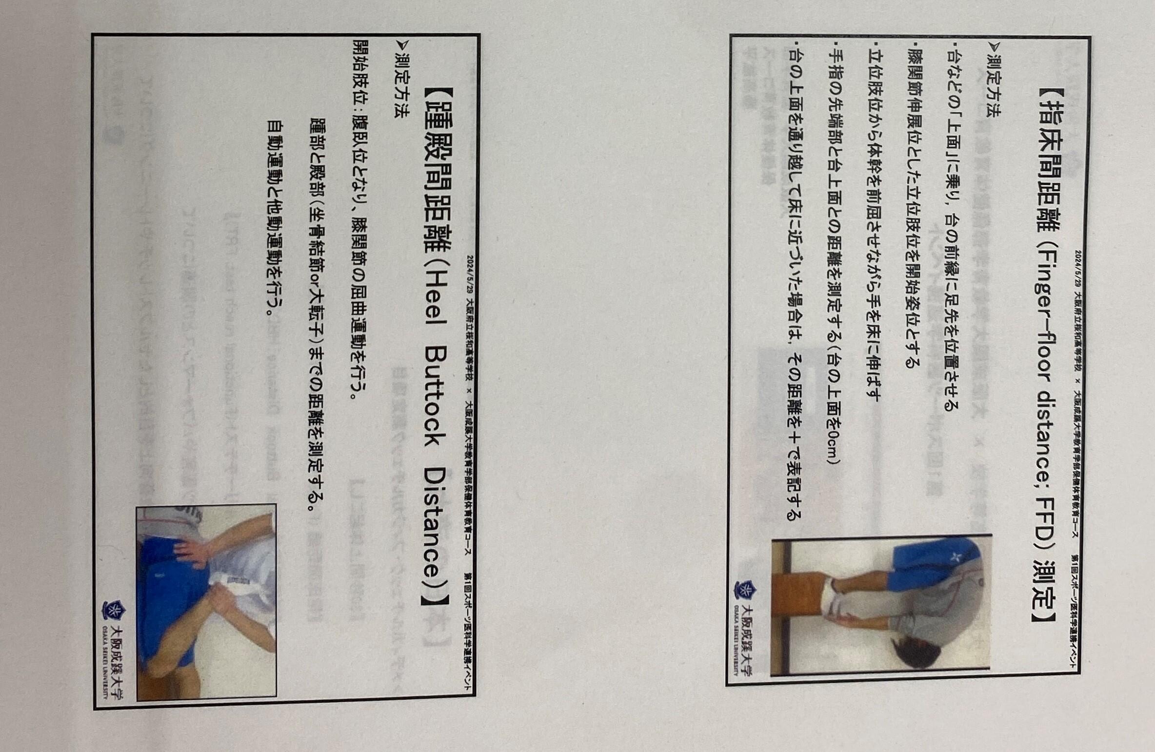 成蹊スポーツ2.jpg