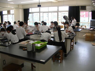 DSCN0552.JPG