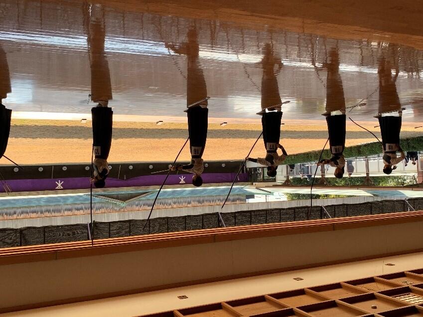 弓道部1.jpg
