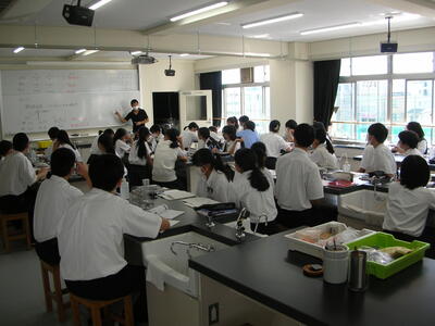 DSCN0550.JPG