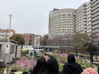 IMG_4050.JPG