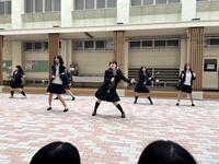 IMG_4390.jpeg