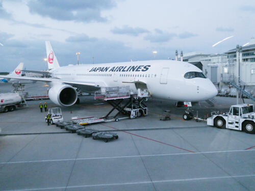 P1011360.jpg