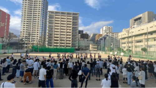 IMG_2547.gif