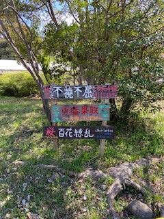 百花繚乱.jpg
