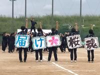 IMG20240927104549.jpg