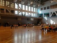 IMG20251106130931.jpg