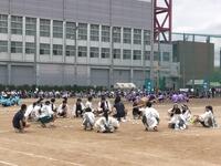 IMG20240927100303.jpg