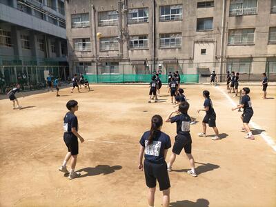 IMG20260715100302.jpg