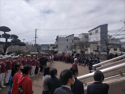 IMG20250331110016.jpg