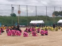 IMG20240927100254.jpg