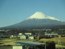 IMG_4849.JPG