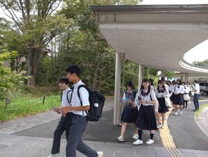 IMG_0092.jpeg
