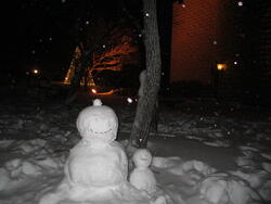IMG_4586.JPG