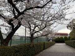 IMG_8477.JPG