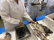 IMG_1591.jpeg