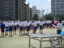 IMG_3737.JPG