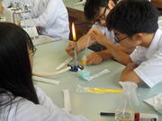 DSCN0278.JPG