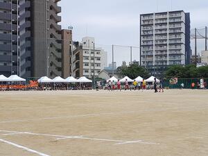 20230601_123749.jpg