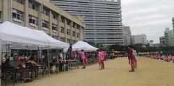 IMG_20230601_144319.jpg