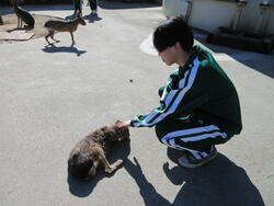 IMG_4580.JPG