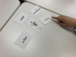 IMG_1192.jpeg