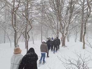20230125_113234.jpg