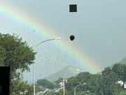 IMG_1619.jpeg