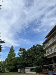 IMG_0363.jpg
